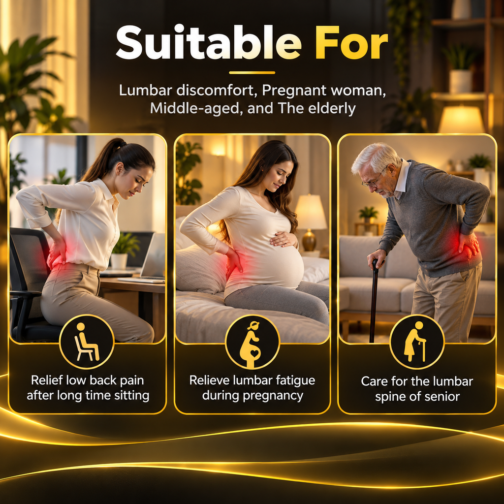3-in 1 Shiatsu Back Recovery Massager